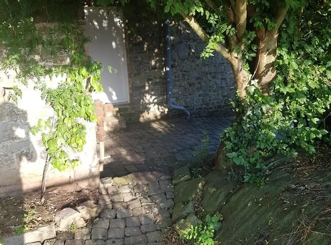 Elevage De La Hurie לינה וארוחת בוקר *